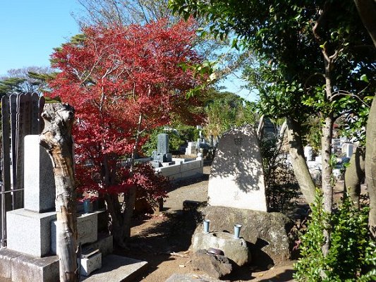 田山花袋のお墓の光景